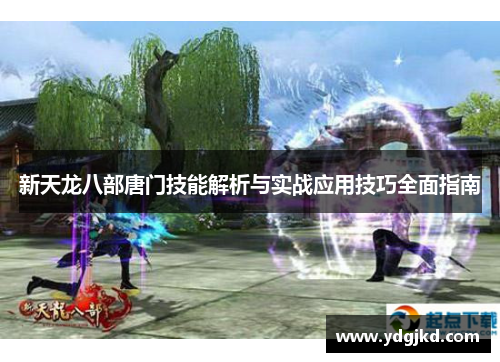新天龙八部唐门技能解析与实战应用技巧全面指南