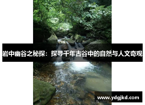 岩中幽谷之秘探：探寻千年古谷中的自然与人文奇观