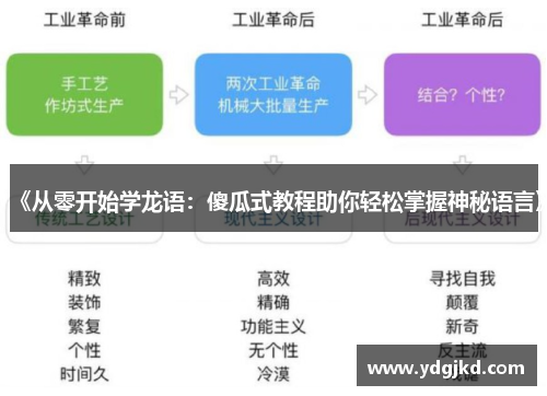 《从零开始学龙语：傻瓜式教程助你轻松掌握神秘语言》
