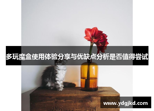 多玩魔盒使用体验分享与优缺点分析是否值得尝试